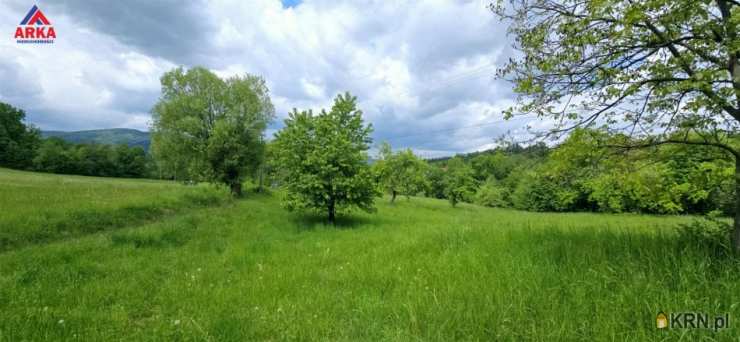 Dom  na sprzedaż, Skrzydlna, ul. , 