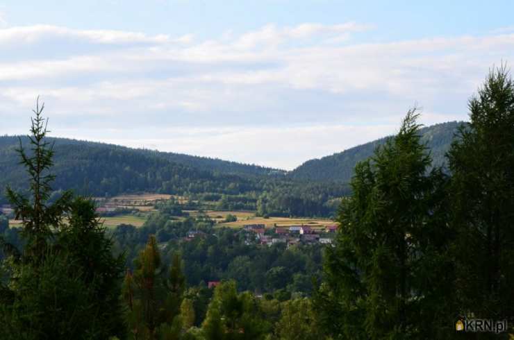 Ewa Szembek Biuro Nieruchomości, Dom  na sprzedaż, Stryszawa, ul. 