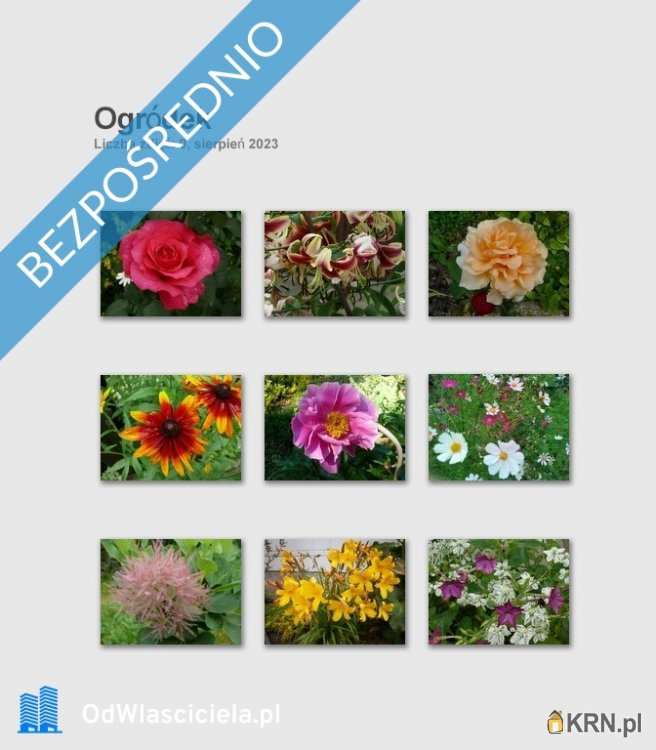 Długa Szlachecka, ul. J. Matejki, Dom  na sprzedaż, 5 pokojowe