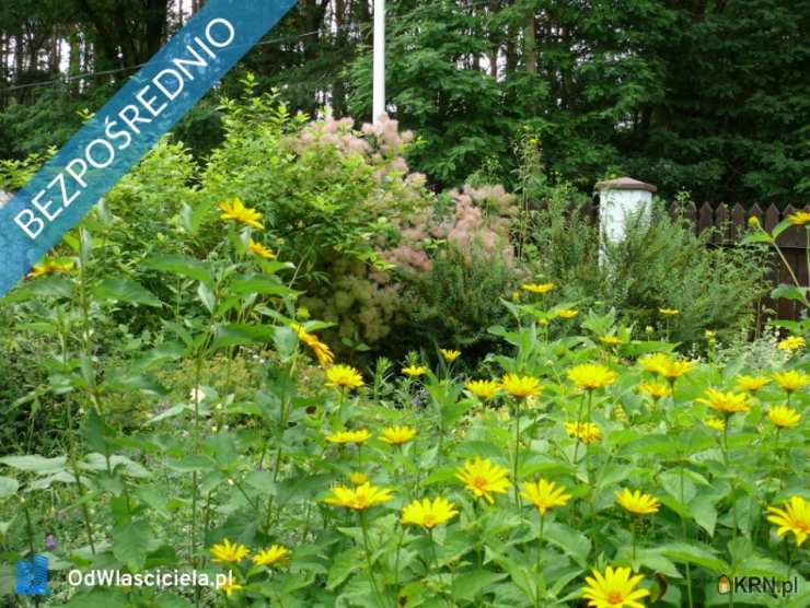 Długa Szlachecka, ul. J. Matejki, 5 pokojowe, Dom  na sprzedaż