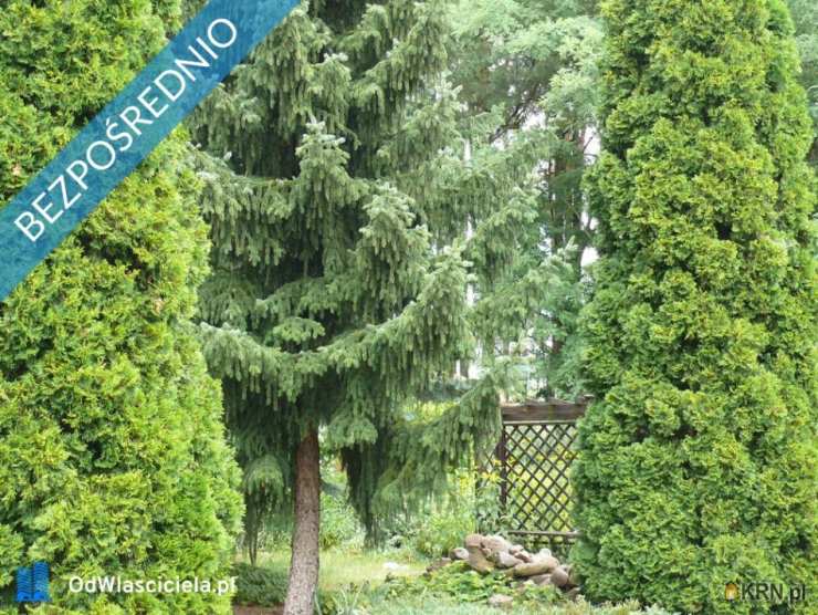 5 pokojowe, Dom  na sprzedaż, Długa Szlachecka, ul. J. Matejki