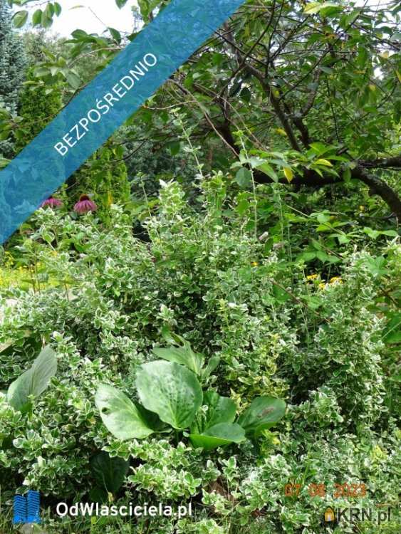 5 pokojowe, Długa Szlachecka, ul. J. Matejki, Dom  na sprzedaż