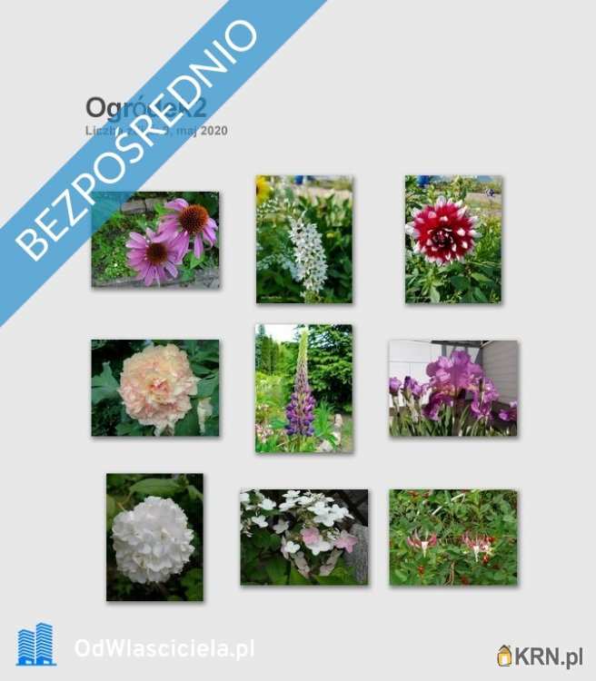 Dom  na sprzedaż, Długa Szlachecka, ul. J. Matejki, 5 pokojowe