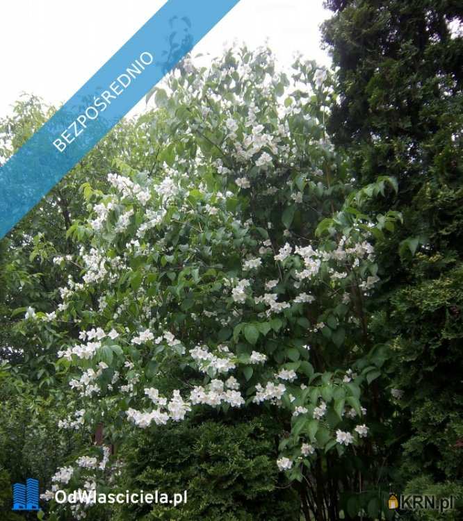 5 pokojowe, Długa Szlachecka, ul. J. Matejki, Dom  na sprzedaż