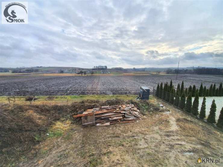 Biuro Nieruchomości SMOK Mateusz Góral, Dom  na sprzedaż, Karniów, ul. 