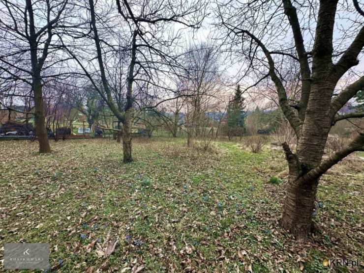 , Międzybórz, ul. , Dom  na sprzedaż