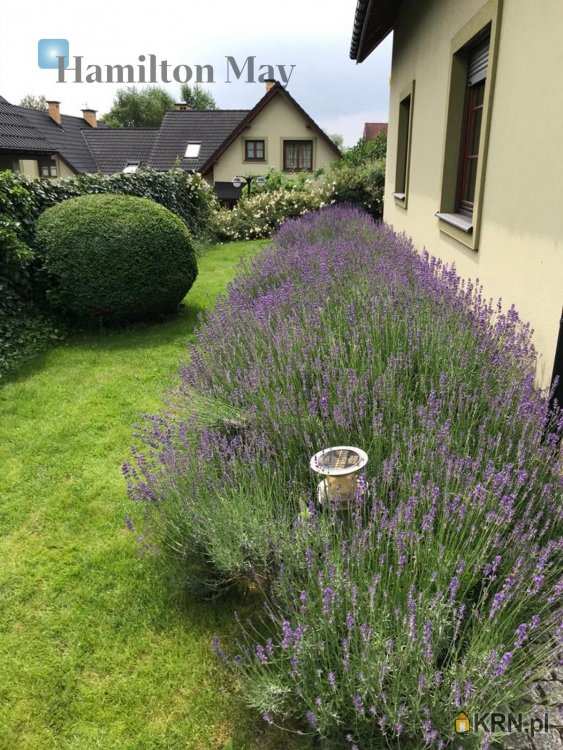 Dom  do wynajęcia, , Zielonka, ul. 