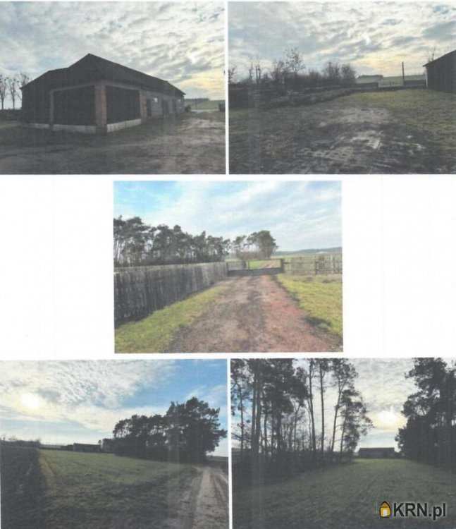 1 pokojowe, Dom  na sprzedaż, Czermno, ul. 