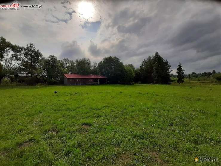 Ostrowsko, ul. , 6 pokojowe, Dom  na sprzedaż