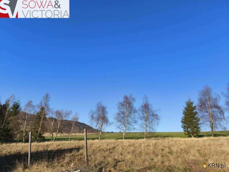 6 pokojowe, Grzmiąca, ul. , Dom  na sprzedaż