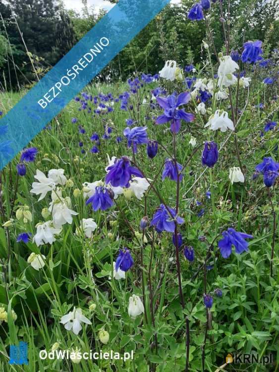 4 pokojowe, Dom  na sprzedaż, Bukowska Wola, ul. 