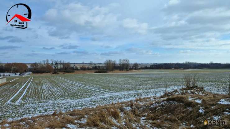 Dom  na sprzedaż, Kwieciszewo, ul. , 1 pokojowe