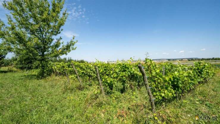 Bukowska Wola, ul. , Dom  na sprzedaż, 