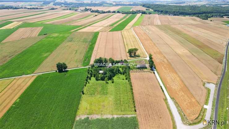 Bukowska Wola, ul. , , Dom  na sprzedaż