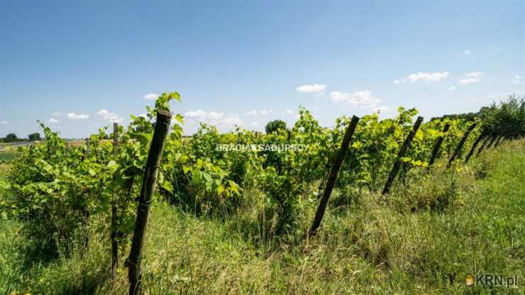 Dom  na sprzedaż, Bukowska Wola, ul. , 