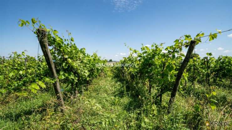 Dom  na sprzedaż, , Bukowska Wola, ul. 