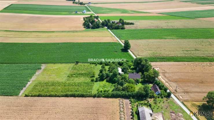 Bukowska Wola, ul. , Dom  na sprzedaż, 