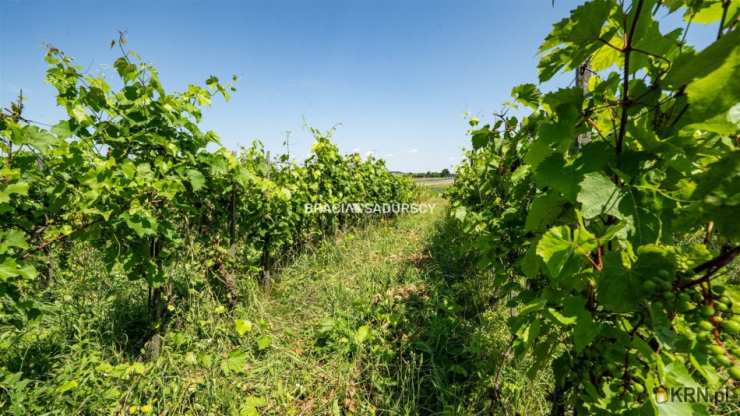 Bukowska Wola, ul. , , Dom  na sprzedaż