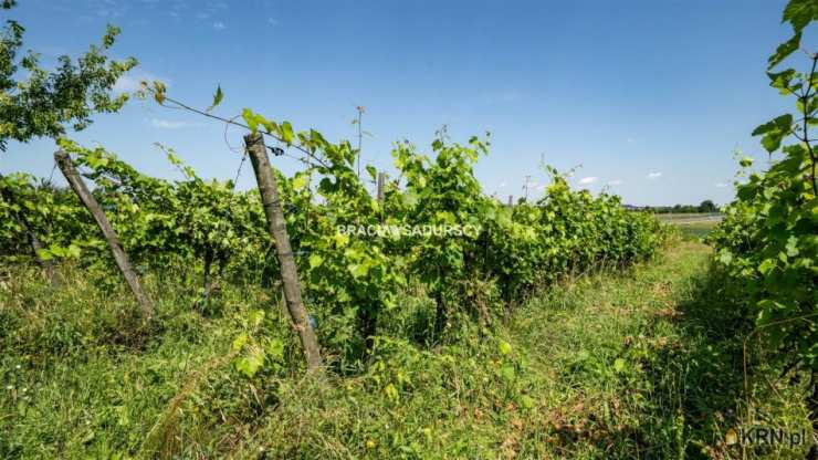 , Bukowska Wola, ul. , Dom  na sprzedaż