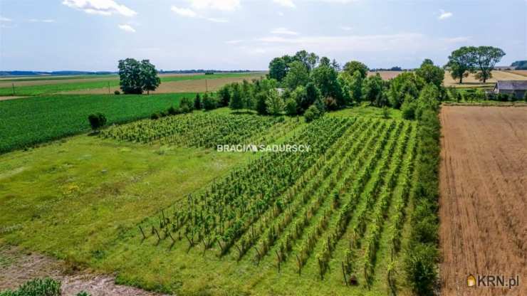 , Bukowska Wola, ul. , Dom  na sprzedaż