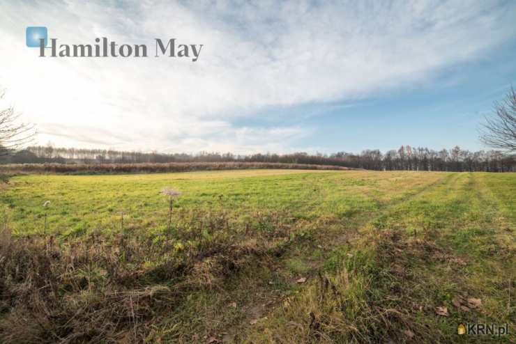 Hamilton May, Dom  na sprzedaż, Lusina, ul. 