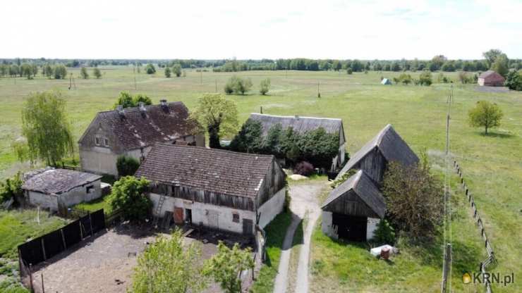 Pławin, ul. , 5 pokojowe, Dom  na sprzedaż