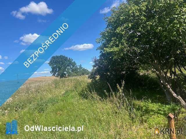 6 pokojowe, Dom  na sprzedaż, Kłodowo, ul. 