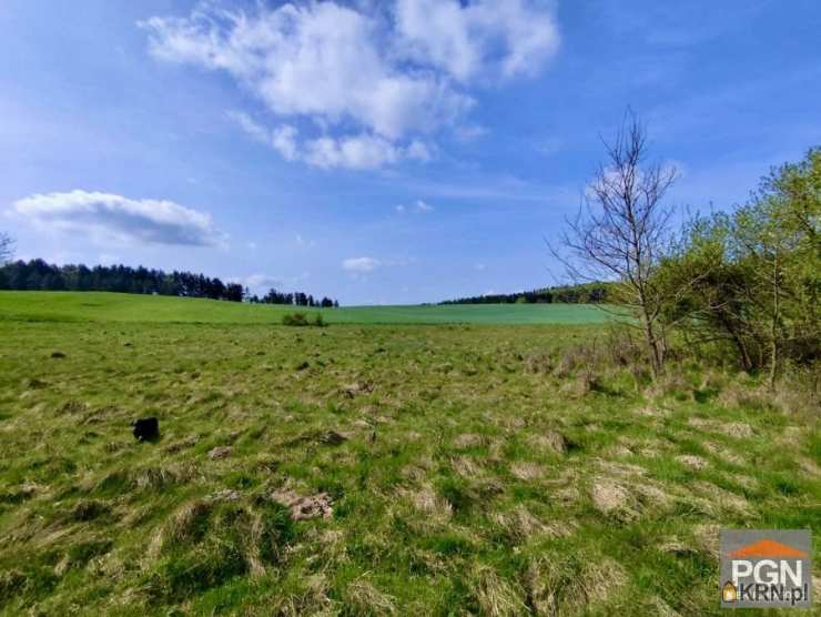Gryfice, ul. , 3 pokojowe, Dom  na sprzedaż