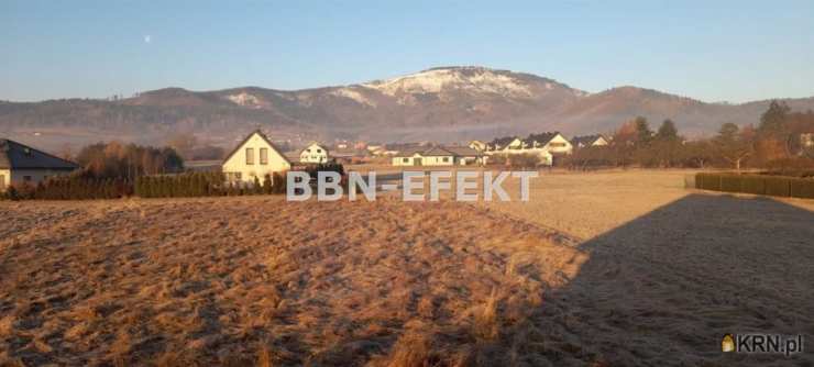 Lipowa, ul. , Dom  do wynajęcia, 