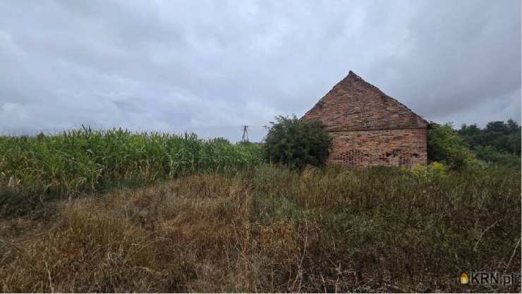 Dom  na sprzedaż, 3 pokojowe, Janowice Duże, ul. 