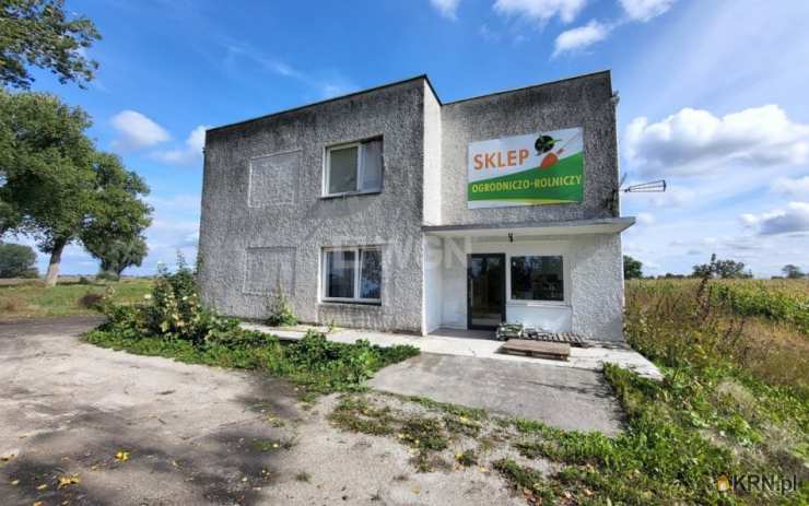 Dom  na sprzedaż, 5 pokojowe, Kruszwica, ul. 