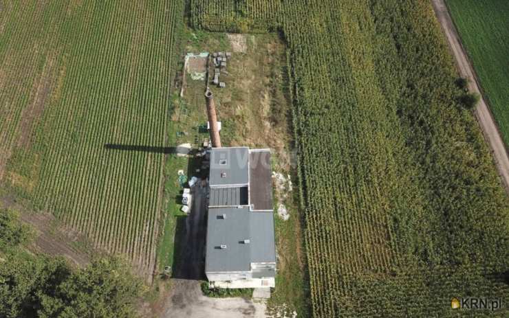 Kruszwica, ul. , Dom  na sprzedaż, 5 pokojowe