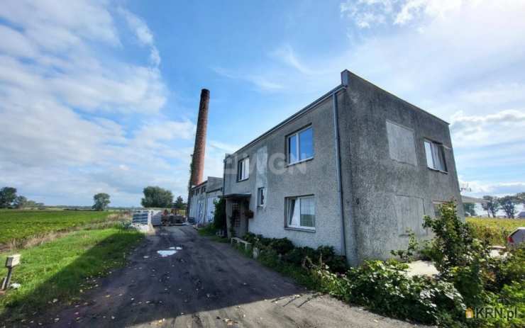 Kruszwica, ul. , 5 pokojowe, Dom  na sprzedaż