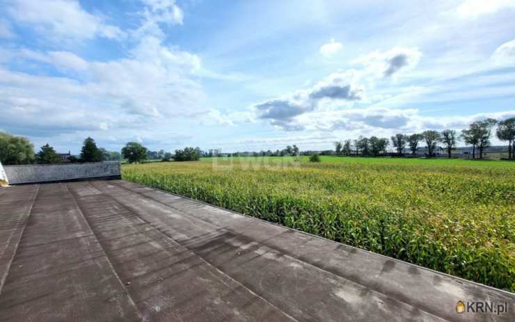 5 pokojowe, Kruszwica, ul. , Dom  na sprzedaż