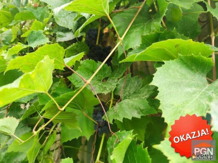 Niechorze, ul. , Dom  na sprzedaż, 5 pokojowe