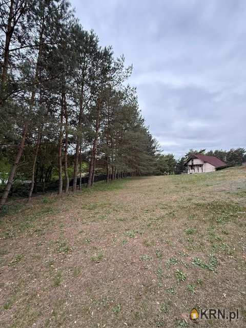 7 pokojowe, Dom  na sprzedaż, Zbiczno, ul. 