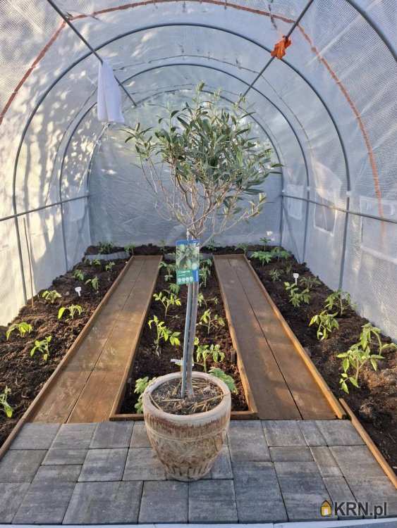 Dom  na sprzedaż, 6 pokojowe, Grzędzice, ul. 