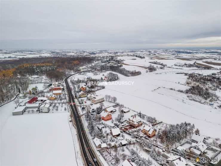 , Dom  na sprzedaż, Pietrzejowice, ul. 