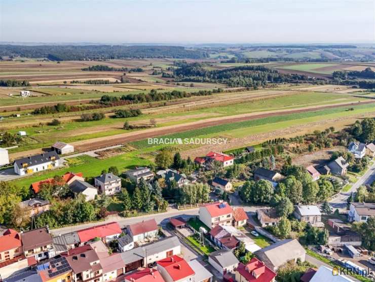 BRACIA SADURSCY NIERUCHOMOŚCI ODDZIAŁ BS5 NOWA HUTA, Dom  na sprzedaż, Skała, ul. Słomnicka