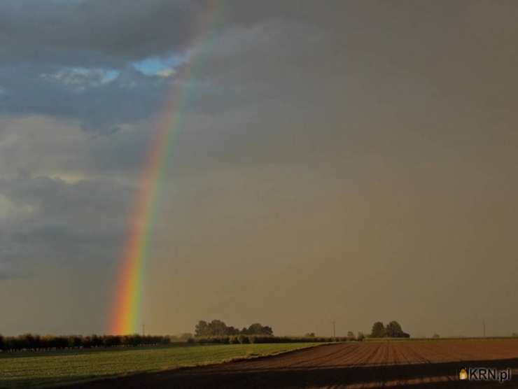 Zadzim, ul. , Dom  na sprzedaż, 6 pokojowe