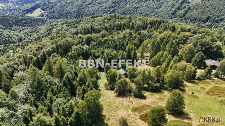 Bielskie Biuro Nieruchomości EFEKT- Krzysztof Filipek , Dom  na sprzedaż, Brenna, ul. 