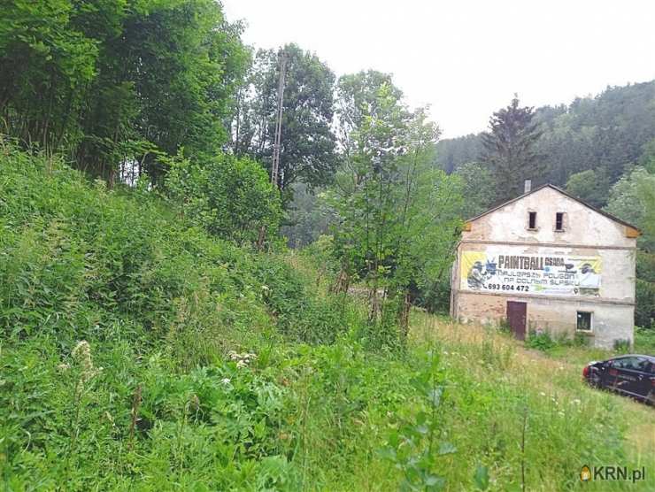 Dom  na sprzedaż, Walim, ul. , 6 pokojowe