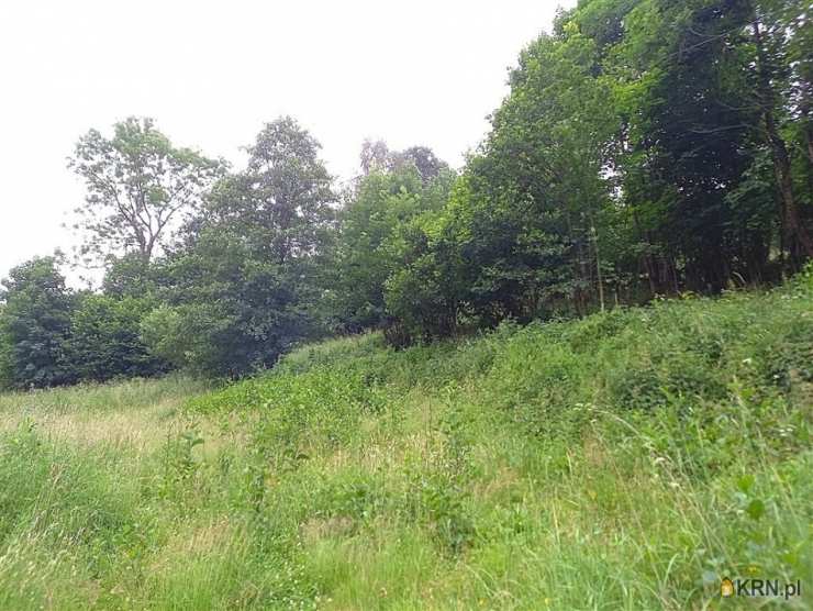 Dom  na sprzedaż, Walim, ul. , 6 pokojowe