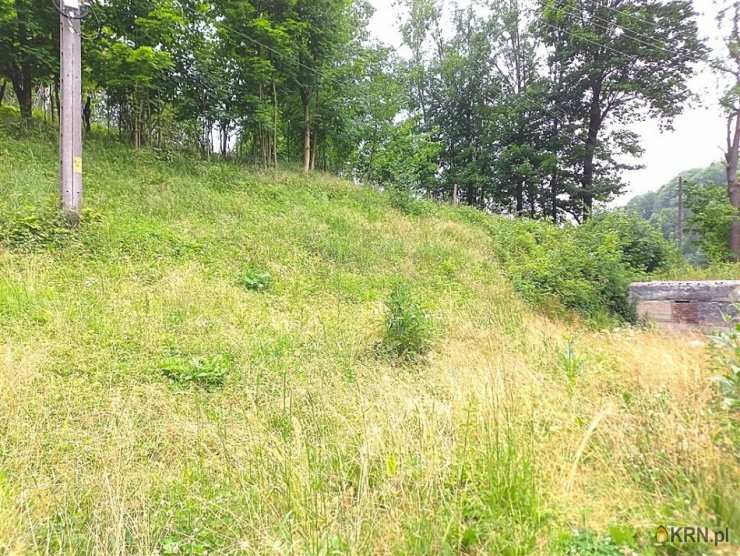 Walim, ul. , 6 pokojowe, Dom  na sprzedaż