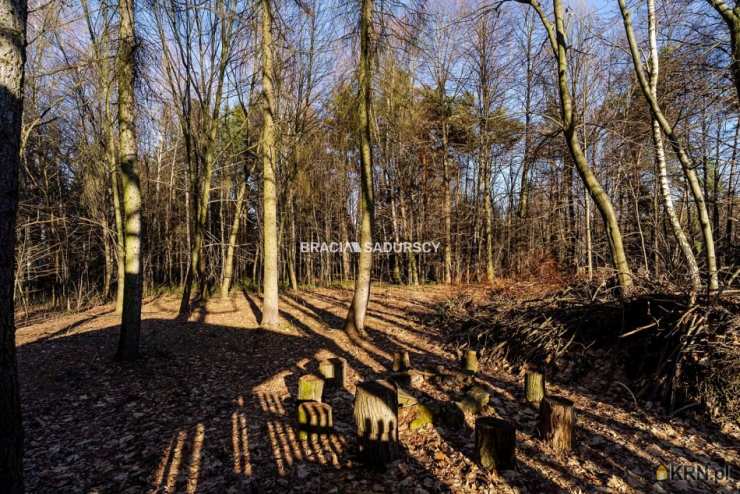 Łomna, ul. , , Dom  na sprzedaż