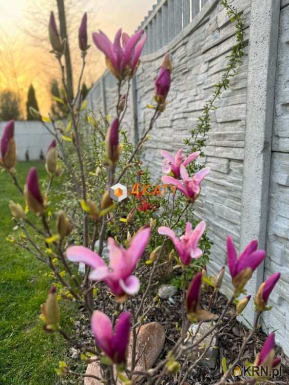 5 pokojowe, Dom  na sprzedaż, Nowy Kisielin, ul. 