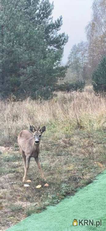 Miękowo, ul. , Dom  na sprzedaż, 