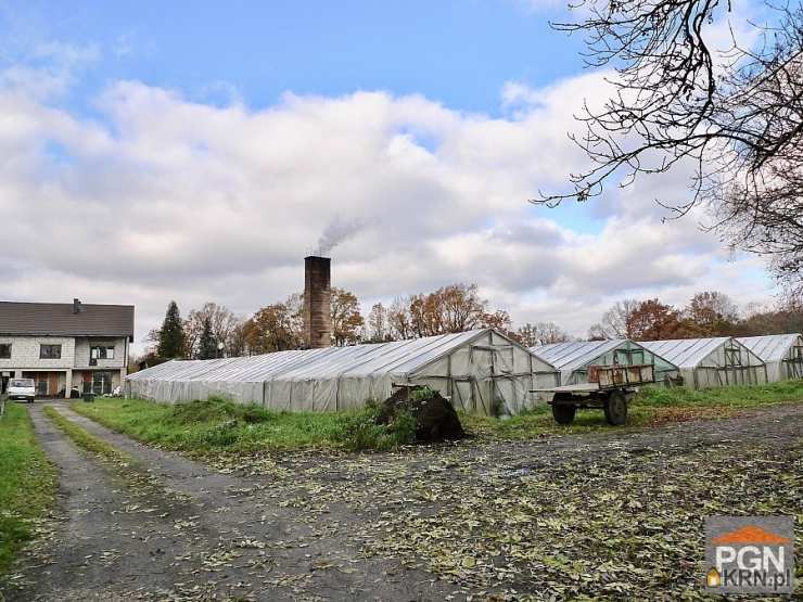 Pomorska Giełda Nieruchomości, Dom  na sprzedaż, Płoty, ul. Łobeska