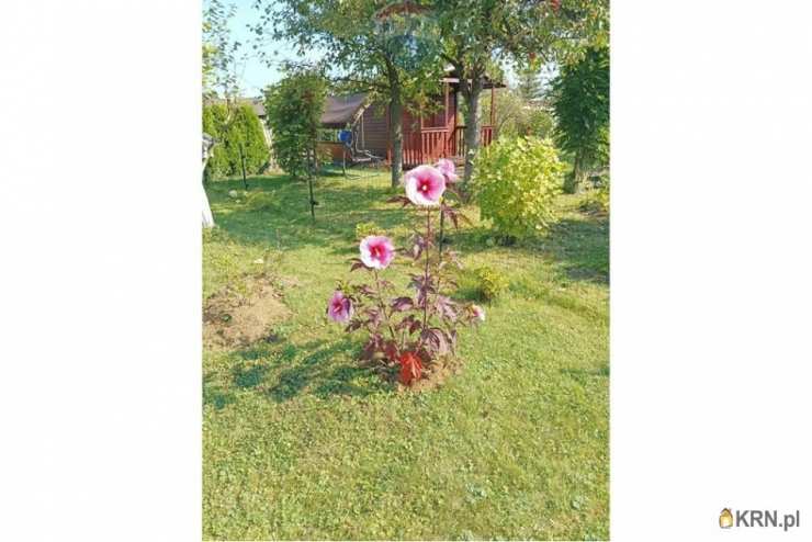 Czechowice-Dziedzice, ul. , 1 pokojowe, Dom  na sprzedaż