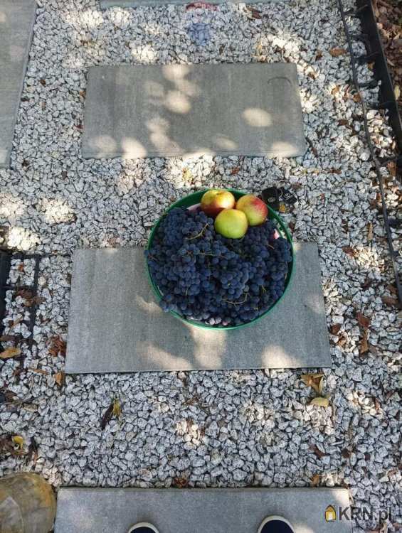 Czechowice-Dziedzice, ul. , Dom  na sprzedaż, 1 pokojowe